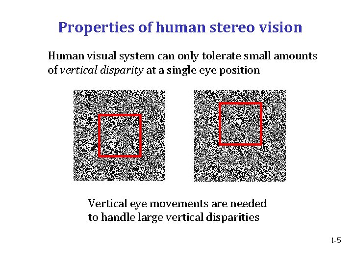 Properties of human stereo vision Human visual system can only tolerate small amounts of