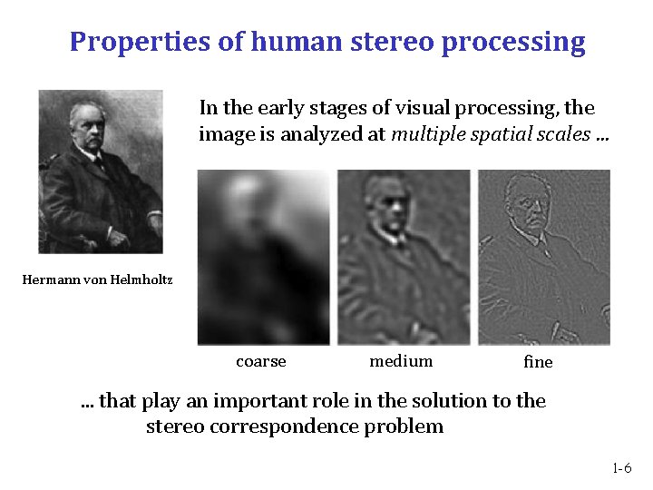 Properties of human stereo processing In the early stages of visual processing, the image