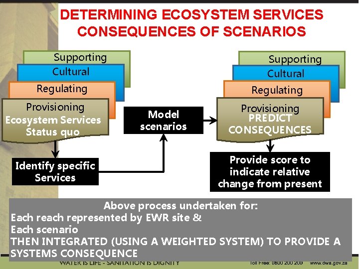 DETERMINING ECOSYSTEM SERVICES CONSEQUENCES OF SCENARIOS Supporting Cultural Regulating Consequences Provisioning Ecosystem Services Status