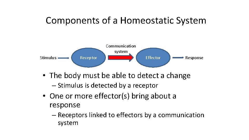 Components of a Homeostatic System Communication system Stimulus Receptor Effector Response • The body
