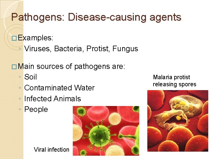 Pathogens: Disease-causing agents � Examples: ◦ Viruses, Bacteria, Protist, Fungus � Main ◦ ◦ Pathogens: Disease-causing agents � Examples: ◦ Viruses, Bacteria, Protist, Fungus � Main ◦ ◦