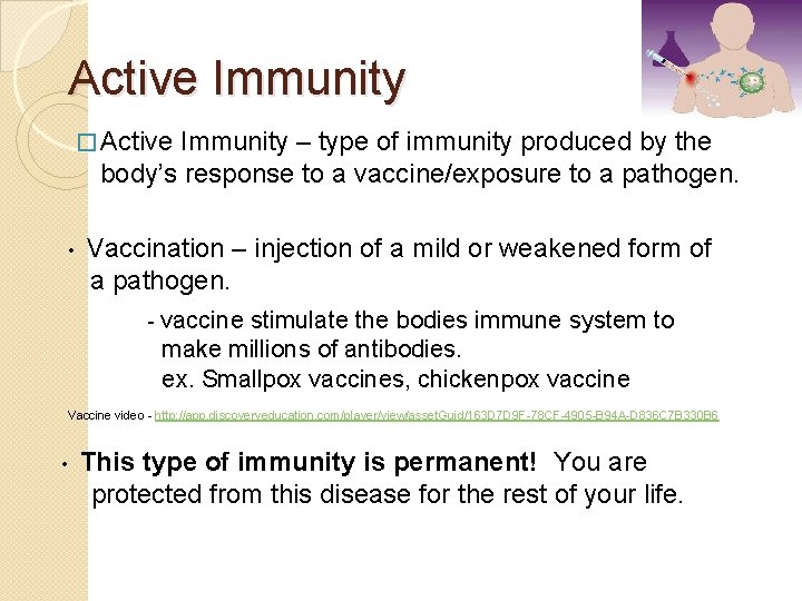 Active Immunity � Active Immunity – type of immunity produced by the body’s response Active Immunity � Active Immunity – type of immunity produced by the body’s response