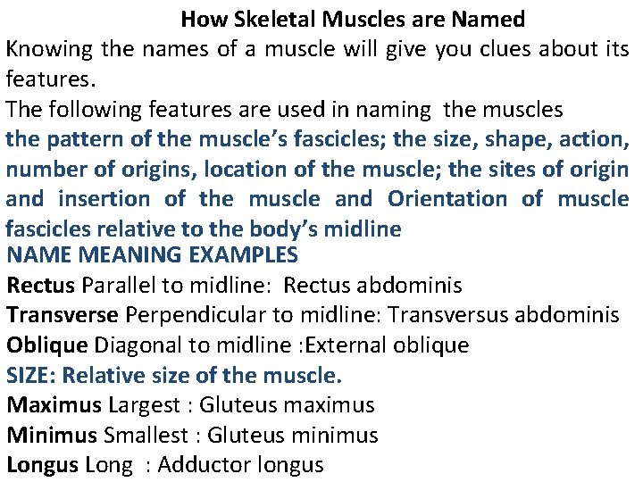 How Skeletal Muscles are Named Knowing the names of a muscle will give you