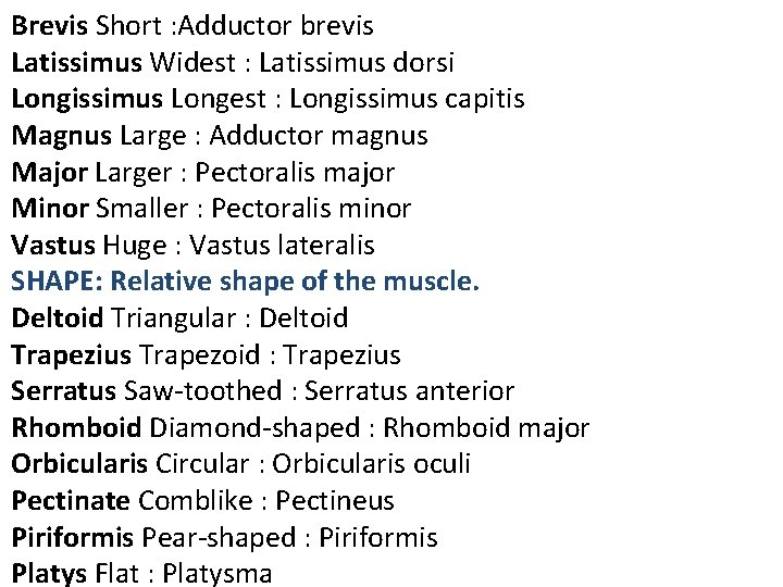 Brevis Short : Adductor brevis Latissimus Widest : Latissimus dorsi Longissimus Longest : Longissimus