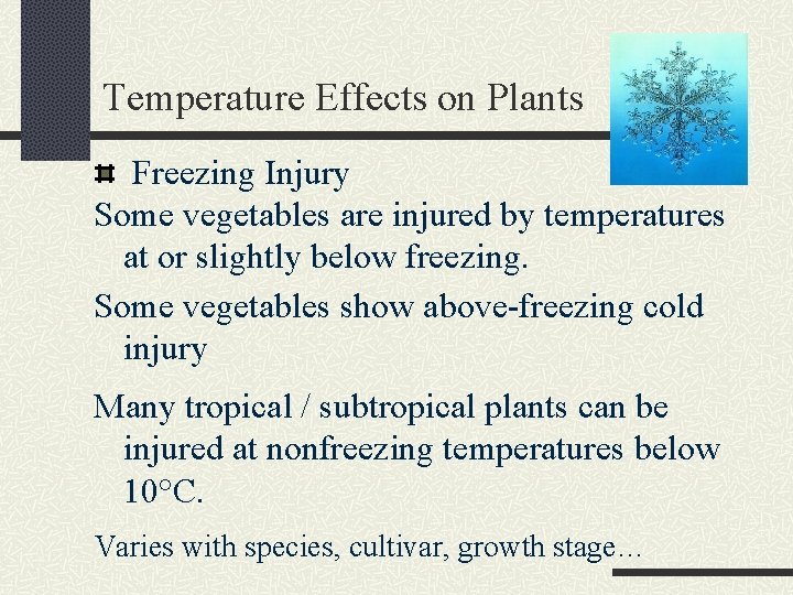 Temperature Effects on Plants Freezing Injury Some vegetables are injured by temperatures at or