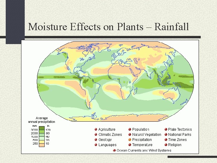 Moisture Effects on Plants – Rainfall 