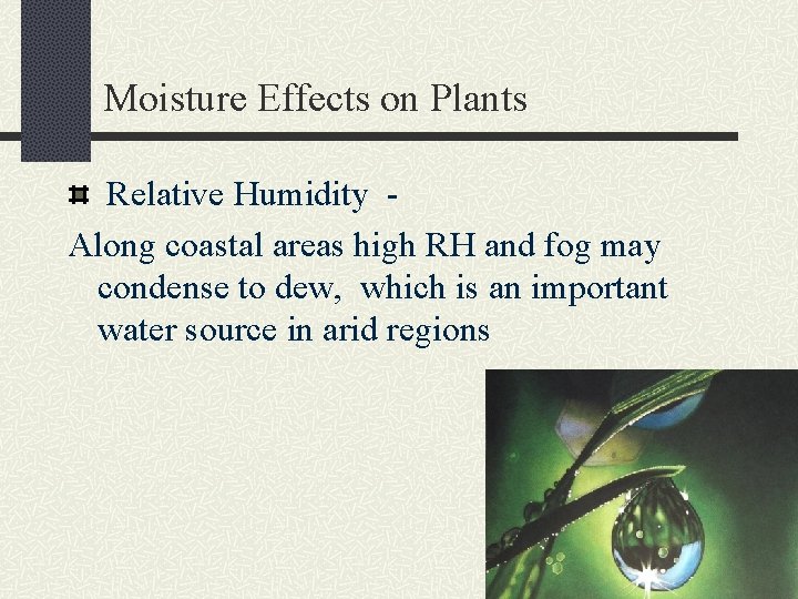 Moisture Effects on Plants Relative Humidity Along coastal areas high RH and fog may