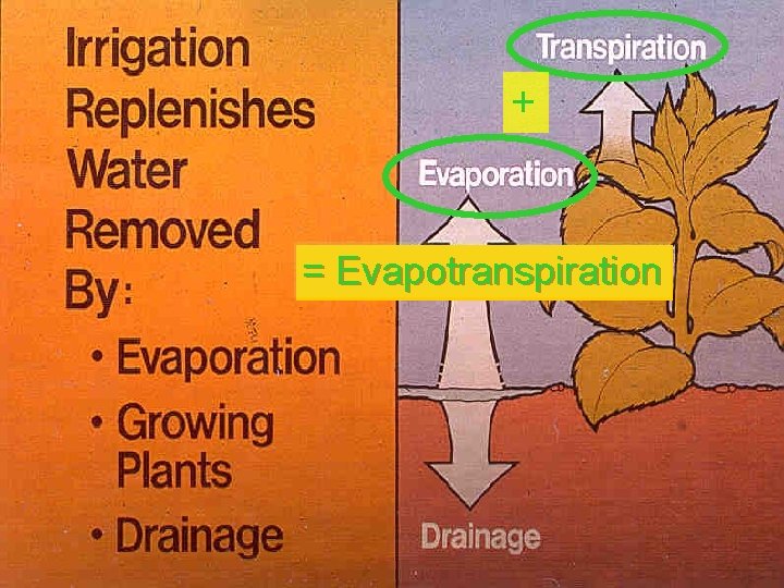 + = Evapotranspiration 