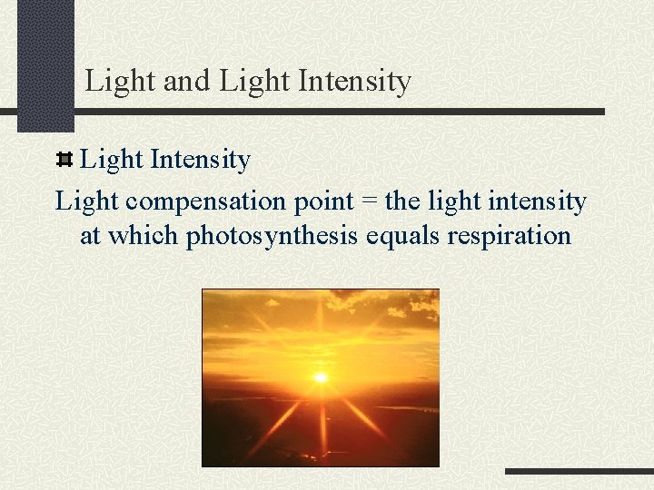 Light and Light Intensity Light compensation point = the light intensity at which photosynthesis