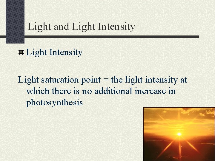 Light and Light Intensity Light saturation point = the light intensity at which there