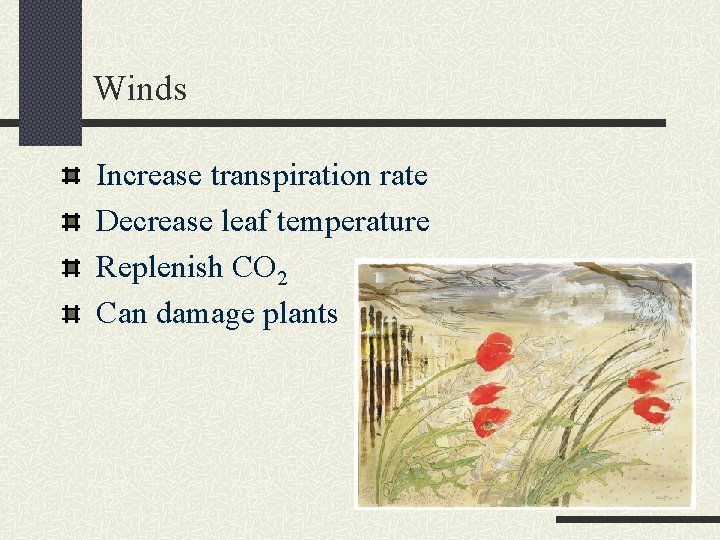 Winds Increase transpiration rate Decrease leaf temperature Replenish CO 2 Can damage plants 