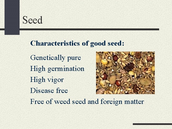 Seed Characteristics of good seed: Genetically pure High germination High vigor Disease free Free