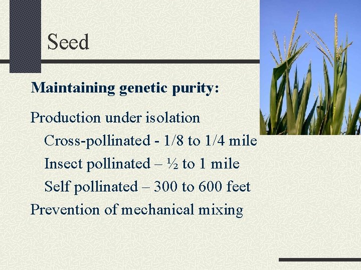 Seed Maintaining genetic purity: Production under isolation Cross-pollinated - 1/8 to 1/4 mile Insect