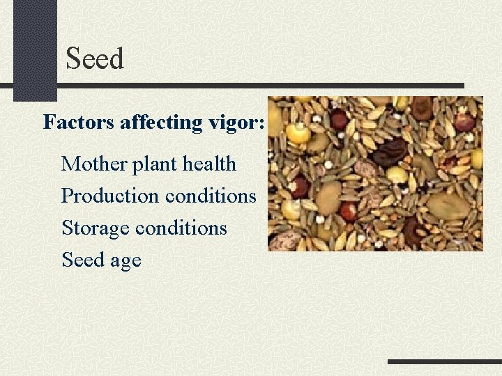 Seed Factors affecting vigor: Mother plant health Production conditions Storage conditions Seed age 