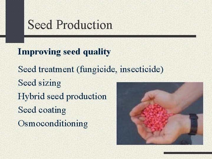 Seed Production Improving seed quality Seed treatment (fungicide, insecticide) Seed sizing Hybrid seed production