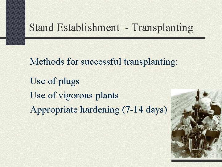 Stand Establishment - Transplanting Methods for successful transplanting: Use of plugs Use of vigorous