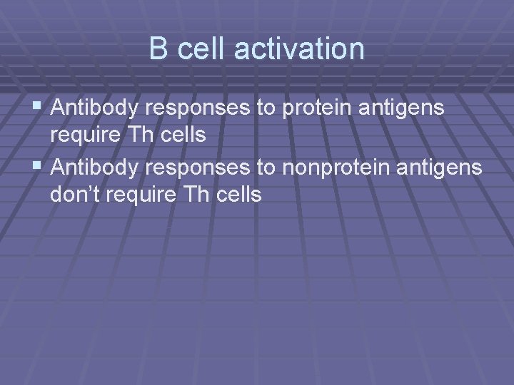 B cell activation § Antibody responses to protein antigens require Th cells § Antibody
