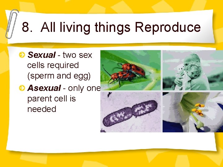 8. All living things Reproduce Sexual - two sex cells required (sperm and egg)