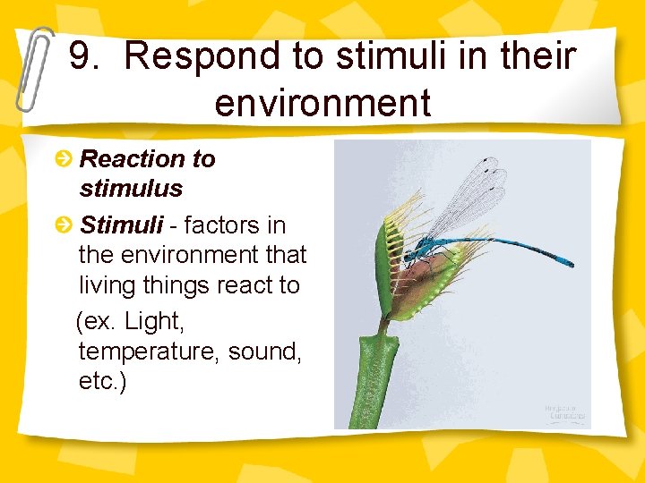 9. Respond to stimuli in their environment Reaction to stimulus Stimuli - factors in