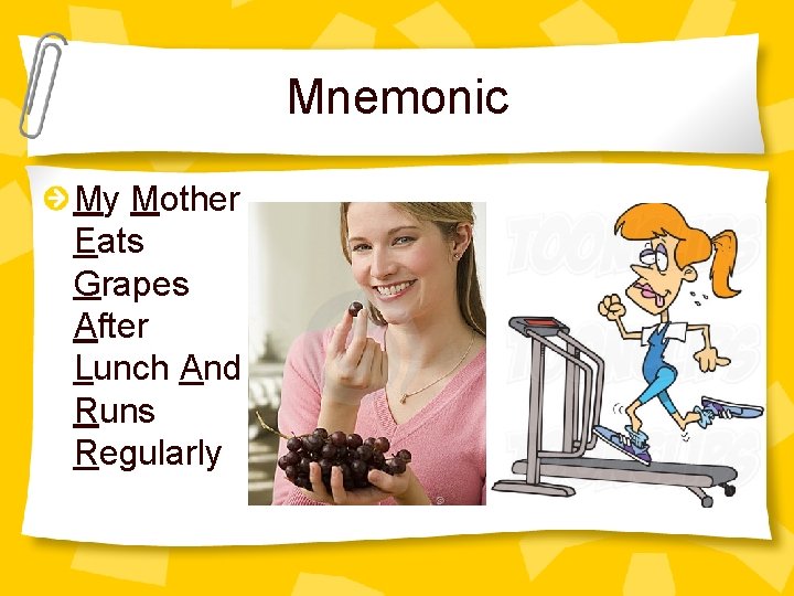 Mnemonic My Mother Eats Grapes After Lunch And Runs Regularly 
