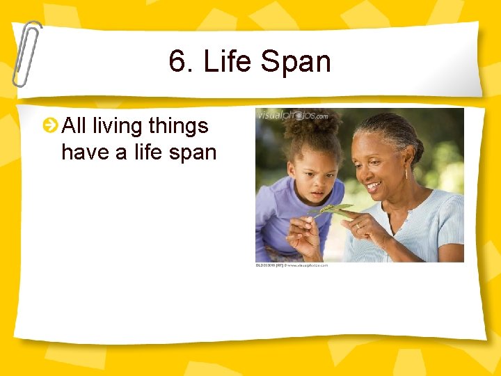 6. Life Span All living things have a life span 