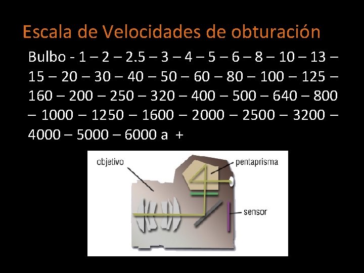 Escala de Velocidades de obturación Bulbo - 1 – 2. 5 – 3 –