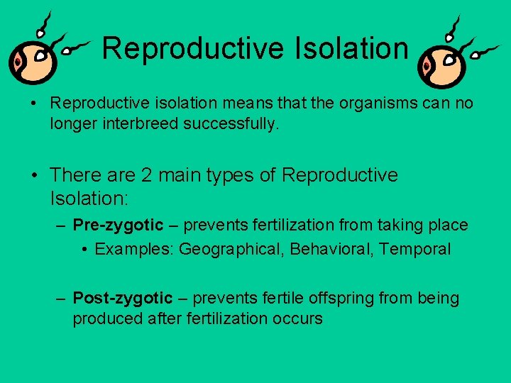 Reproductive Isolation • Reproductive isolation means that the organisms can no longer interbreed successfully.