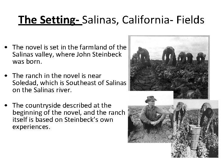 The Setting- Salinas, California- Fields • The novel is set in the farmland of