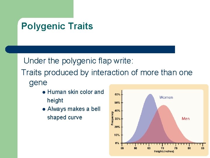 Polygenic Traits Under the polygenic flap write: Traits produced by interaction of more than