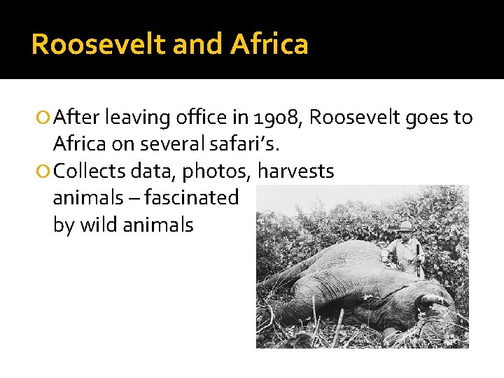 Roosevelt and Africa After leaving office in 1908, Roosevelt goes to Africa on several