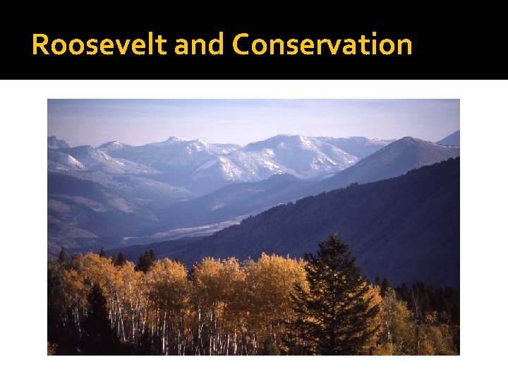Roosevelt and Conservation 