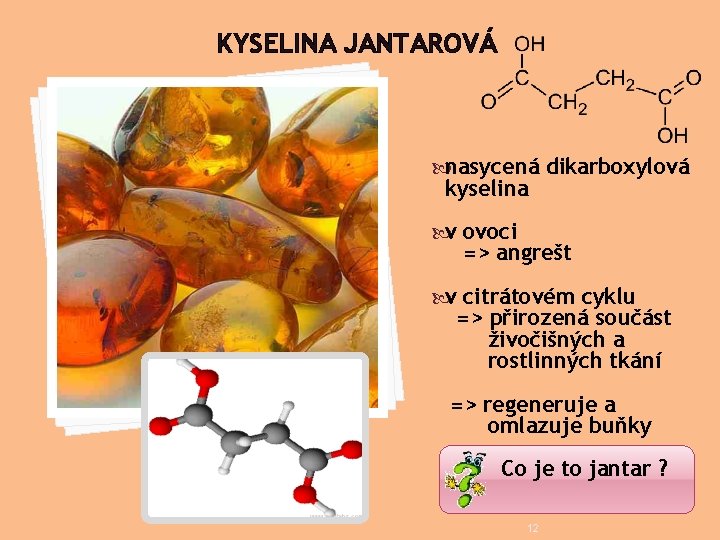 KYSELINA JANTAROVÁ nasycená dikarboxylová kyselina v ovoci => angrešt v citrátovém cyklu => přirozená