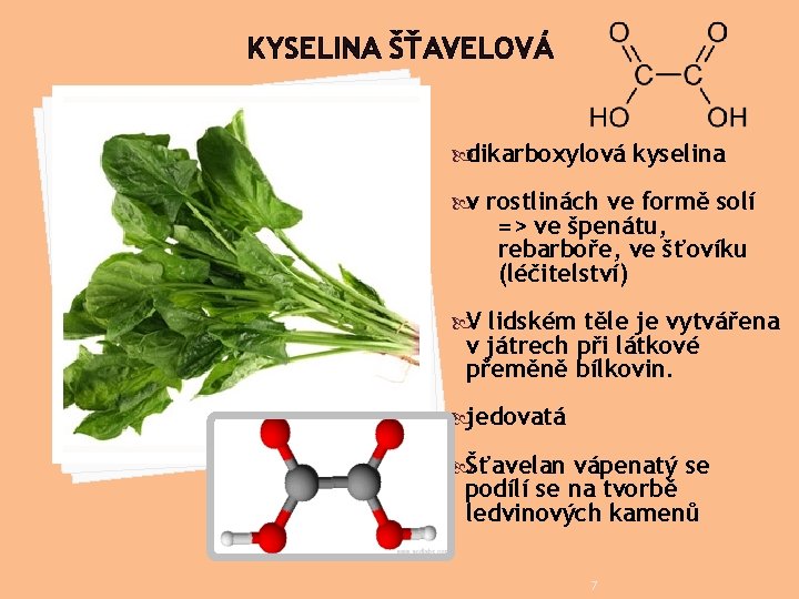 KYSELINA ŠŤAVELOVÁ dikarboxylová kyselina v rostlinách ve formě solí => ve špenátu, rebarboře, ve