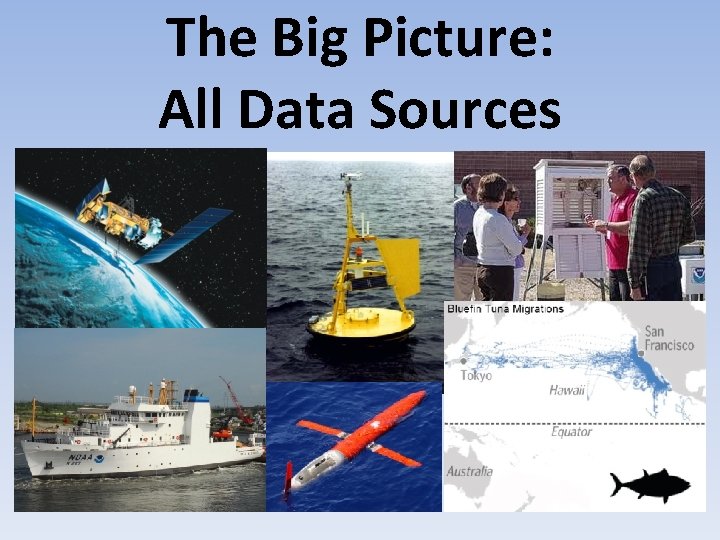 The Big Picture: All Data Sources 