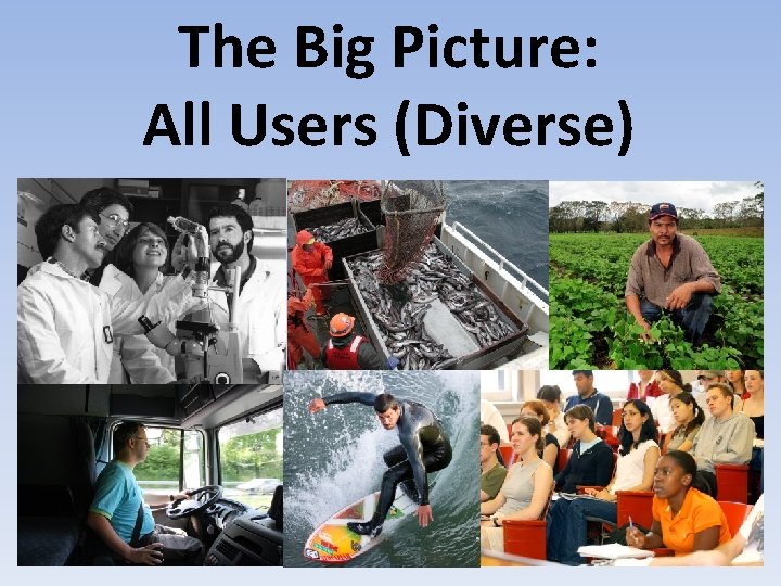 The Big Picture: All Users (Diverse) 