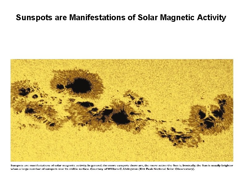 Sunspots are Manifestations of Solar Magnetic Activity 