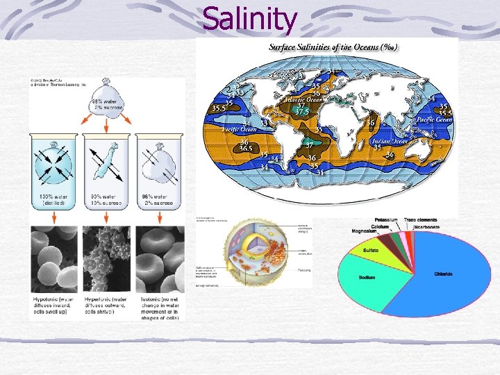 Salinity 