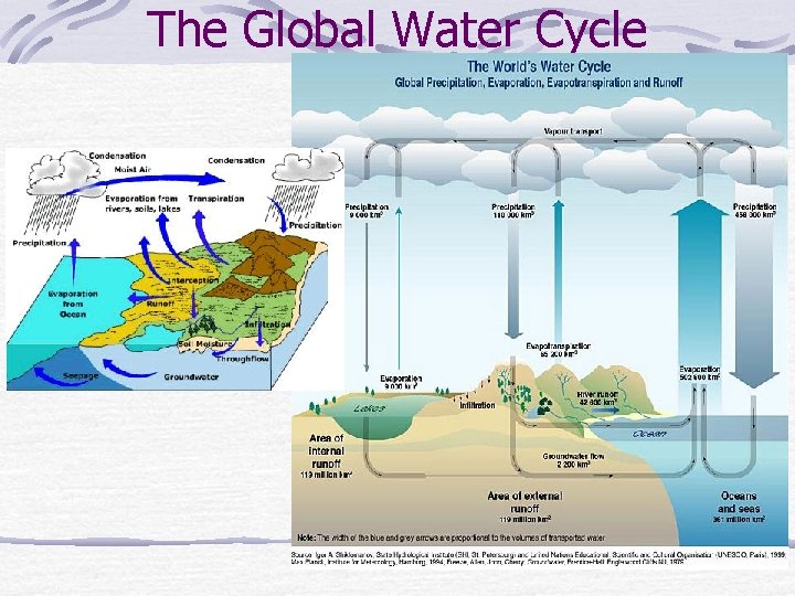 The Global Water Cycle 