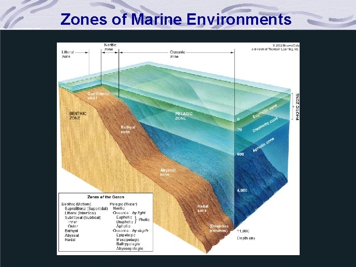 Zones of Marine Environments 