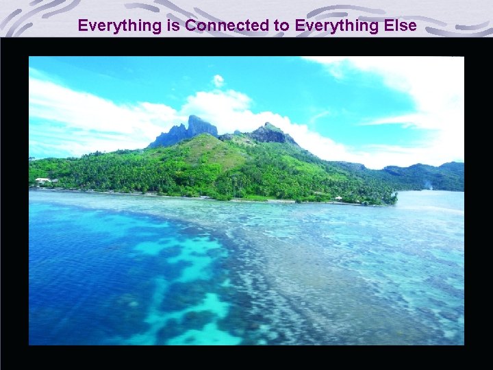 Everything is Connected to Everything Else 