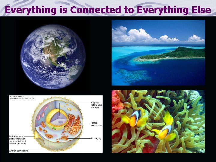 Everything is Connected to Everything Else 