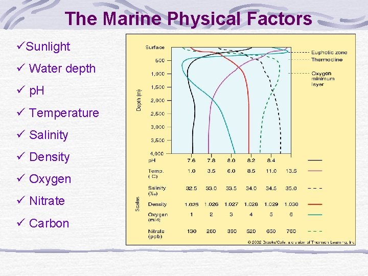 The Marine Physical Factors üSunlight ü Water depth ü p. H ü Temperature ü