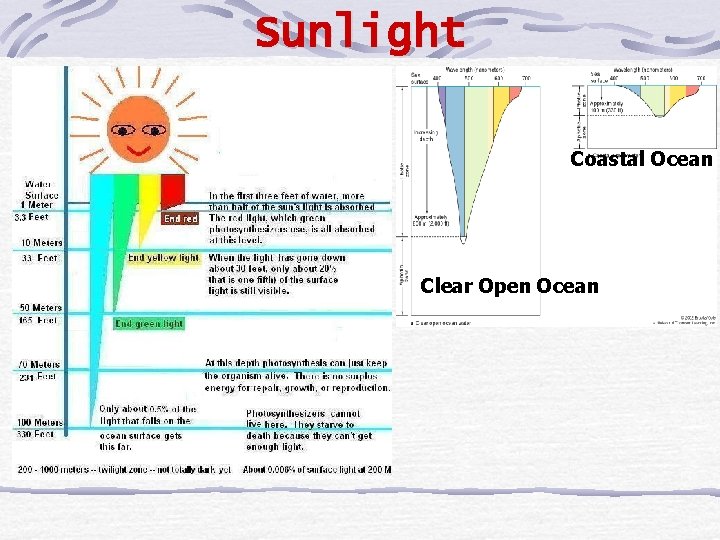 Sunlight Coastal Ocean Clear Open Ocean 