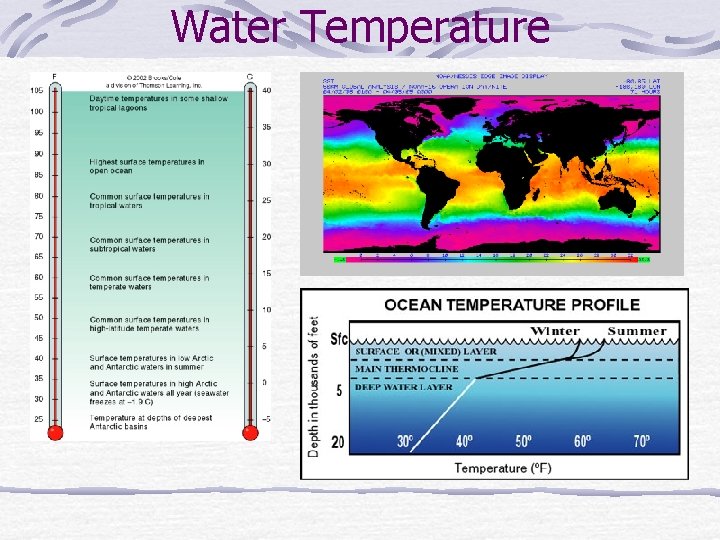 Water Temperature 