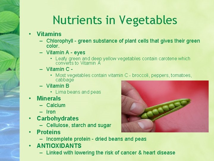 Nutrients in Vegetables • Vitamins – Chlorophyll - green substance of plant cells that