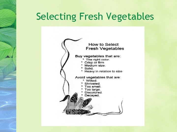 Selecting Fresh Vegetables 