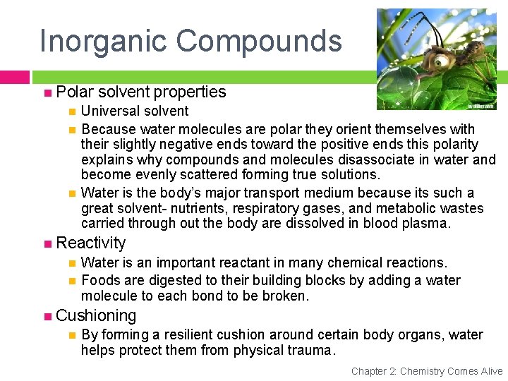 Inorganic Compounds Polar solvent properties Universal solvent Because water molecules are polar they orient