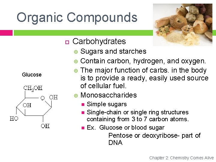 Organic Compounds Carbohydrates Sugars and starches Contain carbon, hydrogen, and oxygen. The major function