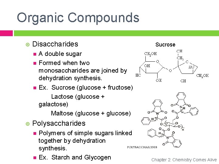 Organic Compounds Disaccharides Sucrose A double sugar Formed when two monosaccharides are joined by