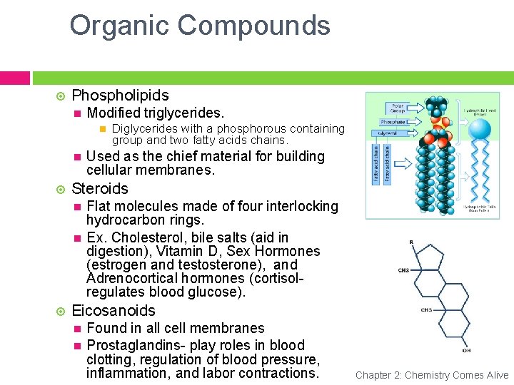 Organic Compounds Phospholipids Modified triglycerides. Used as the chief material for building cellular membranes.